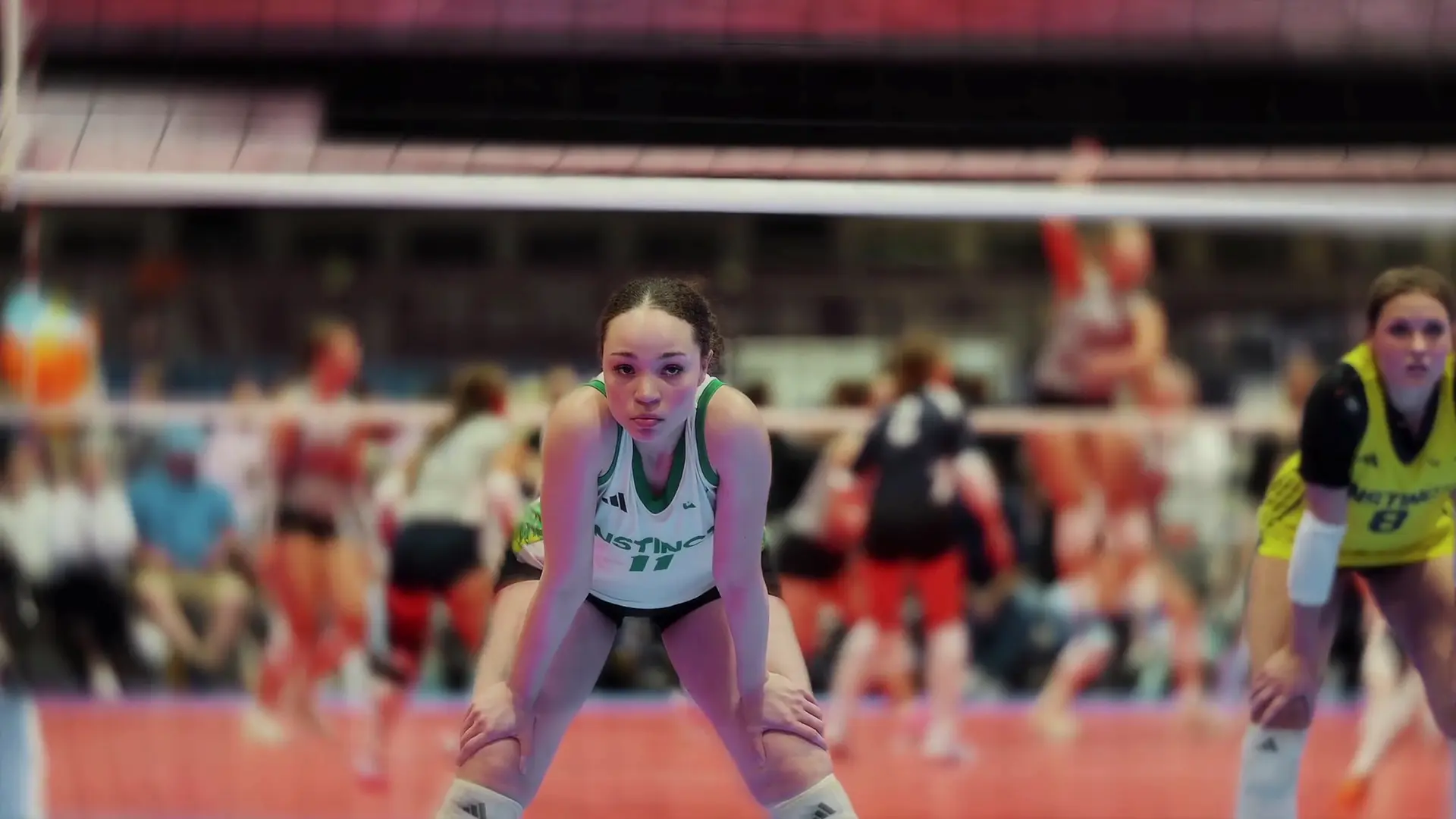 VOLLEYBALL HIGHLIGHT