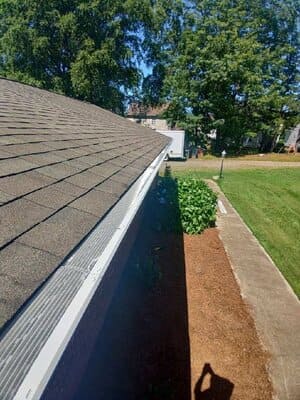 {{ custom_values.service_4 }} in {{custom_values.area_4})