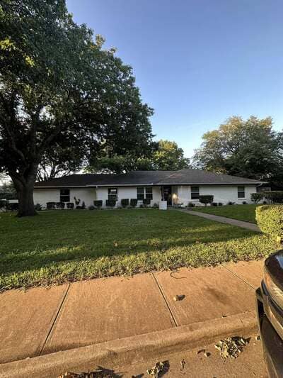 Painting in Plano