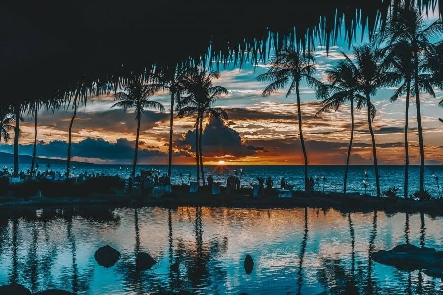 Humuhumunukunukuāpuaʻa