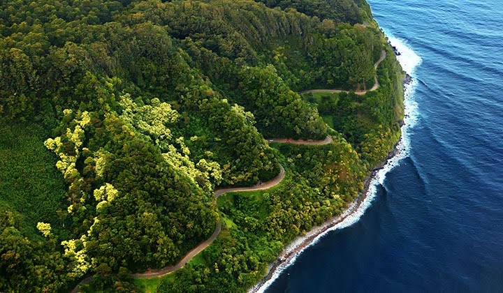 Drive the Road to Hana