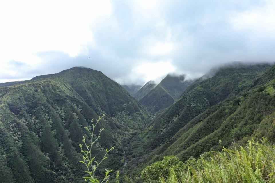 Iao Valley State Park