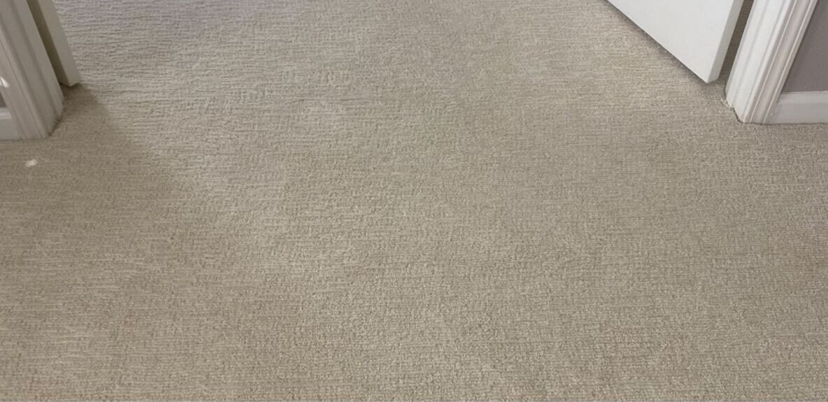 Clean, freshly restored carpet in a San Jose home hallway