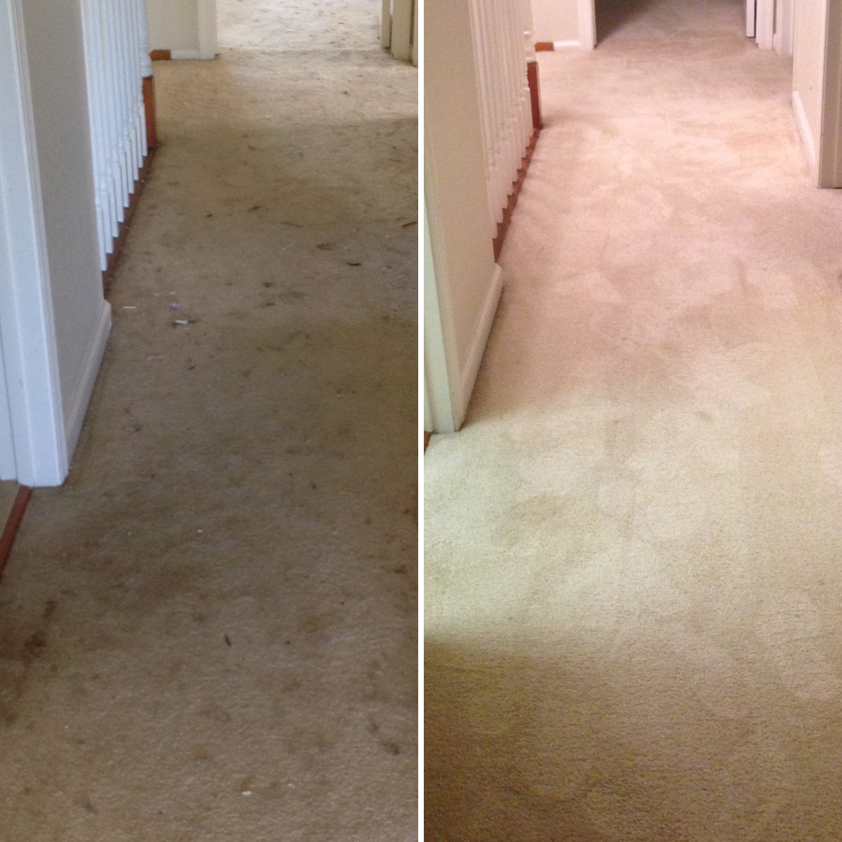 Hallway carpet before and after professional cleaning in San Jose