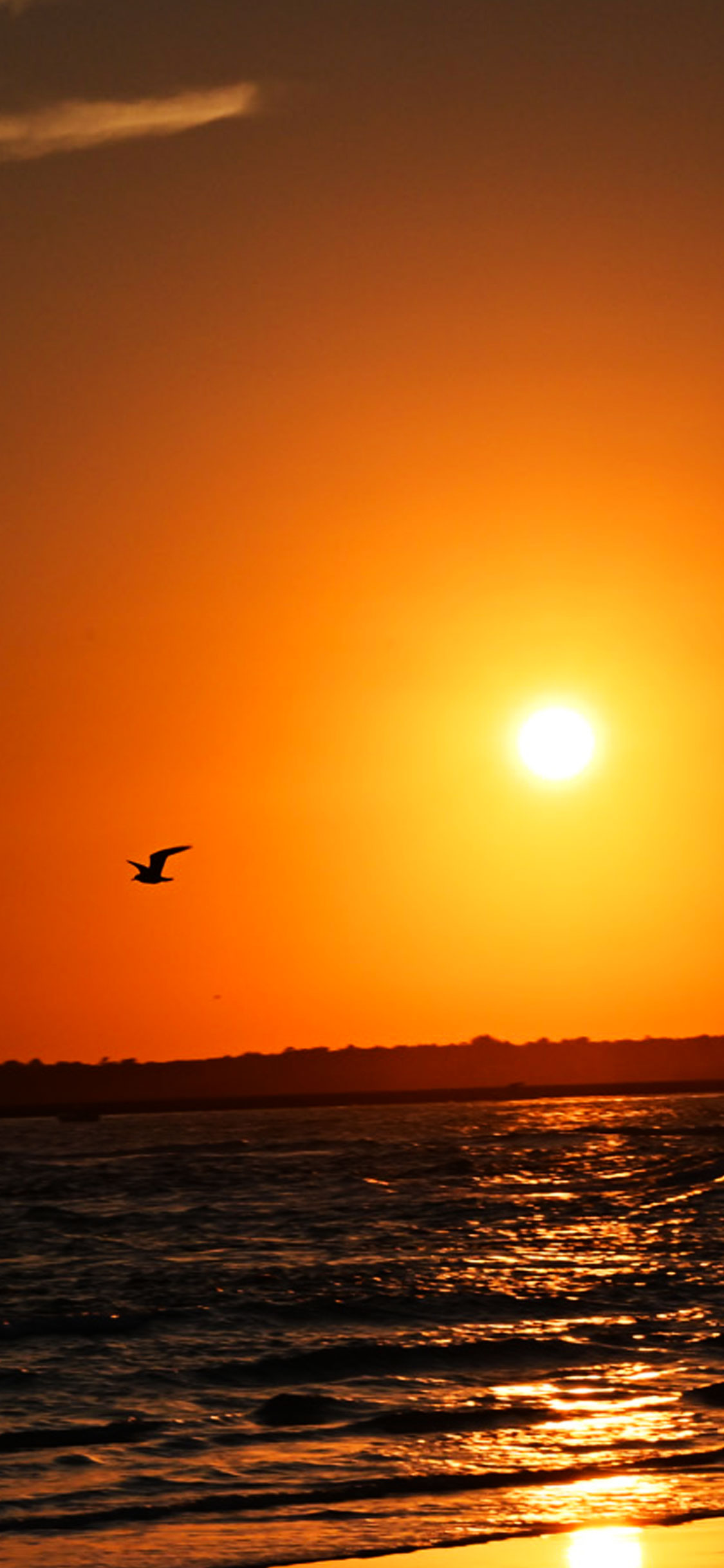Commercial photography sample 3