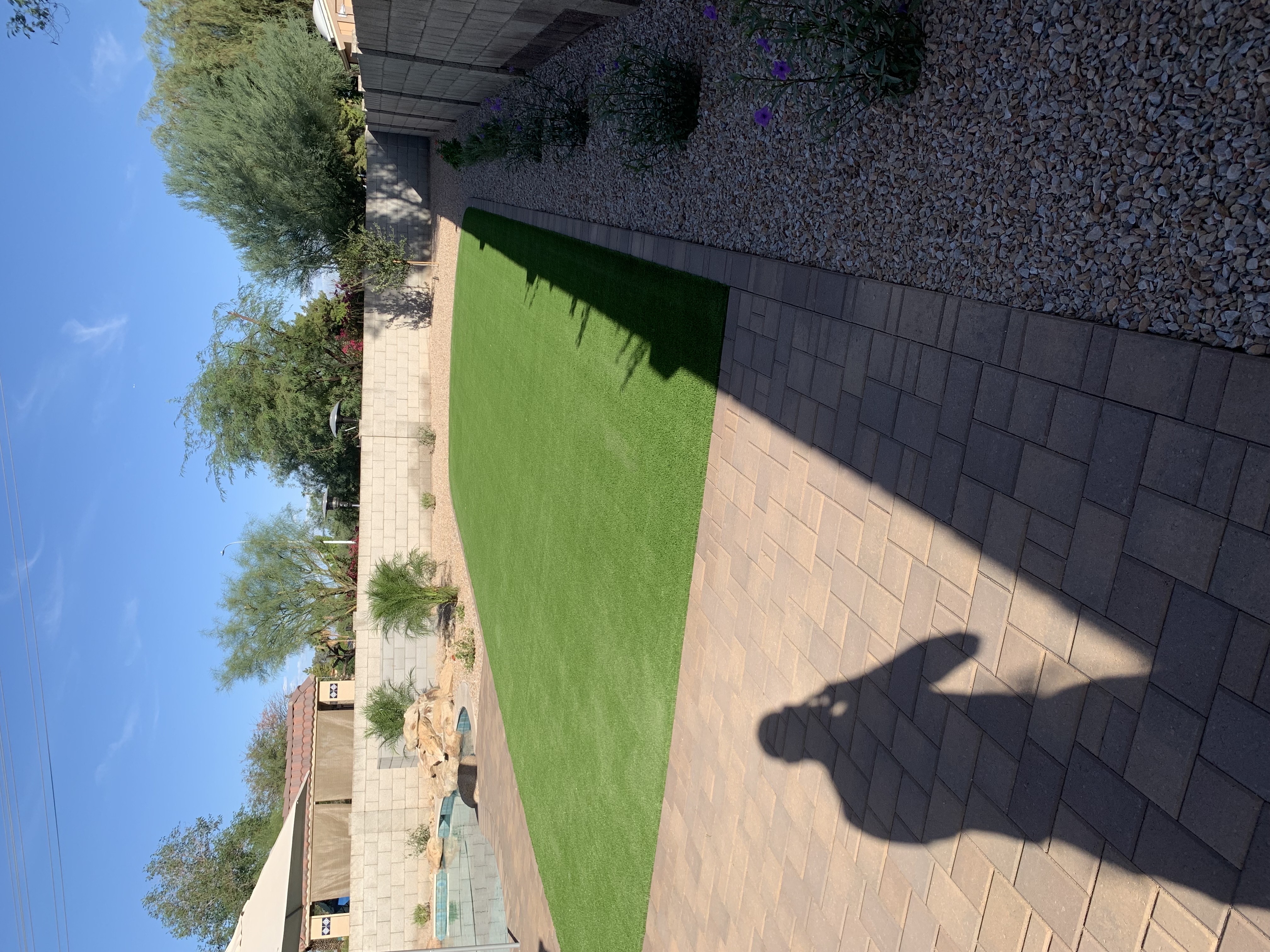 Backyard turf with shade structure East Valley