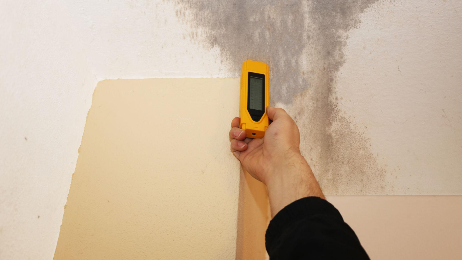 Leak Detection & Pipe Repair