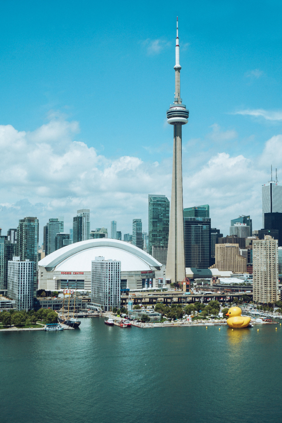 Toronto, le début de la nouvelle vie de Mily