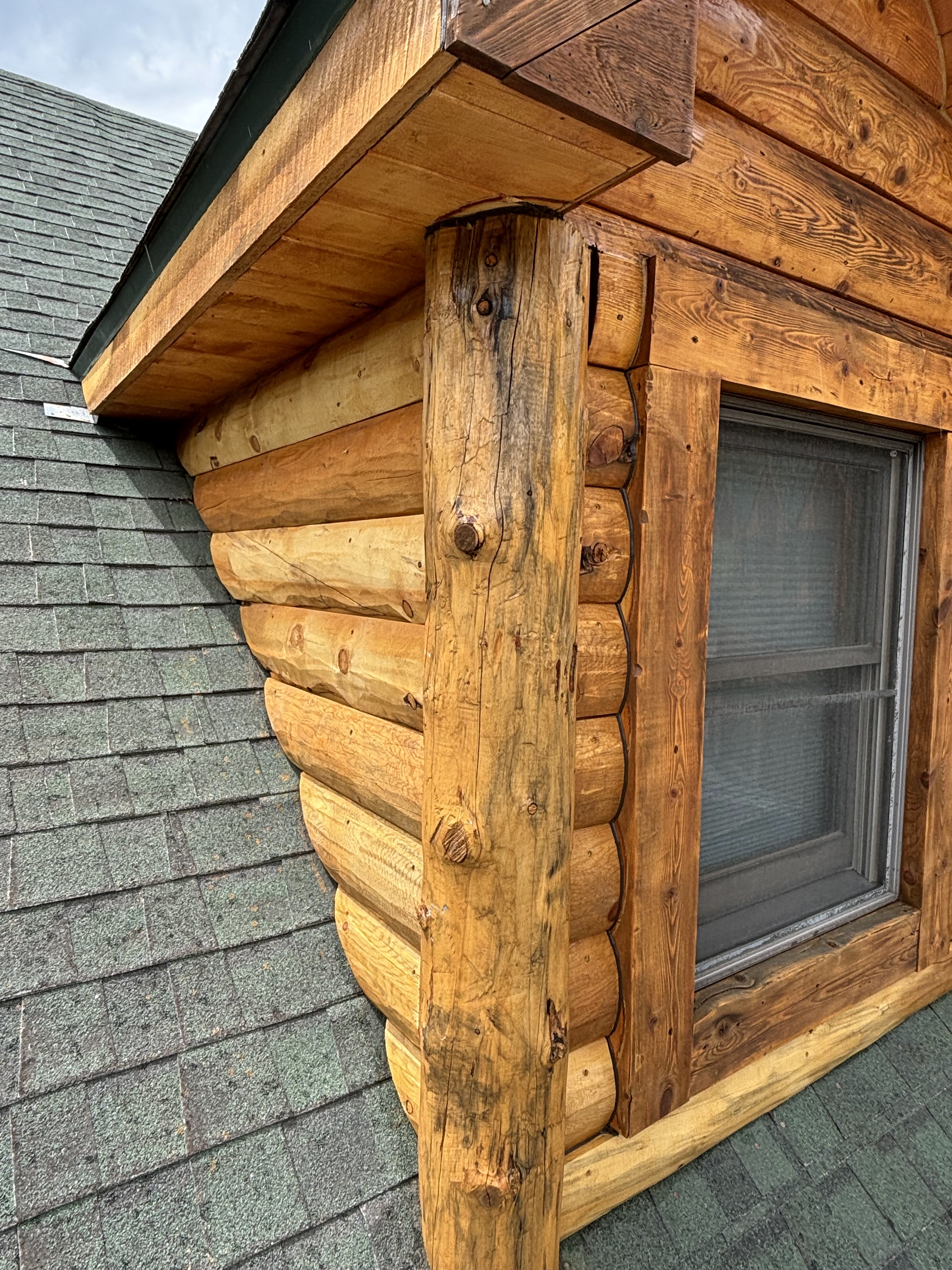 Log Home Staining & Restoration project by Mountain Man Painting in Colorado