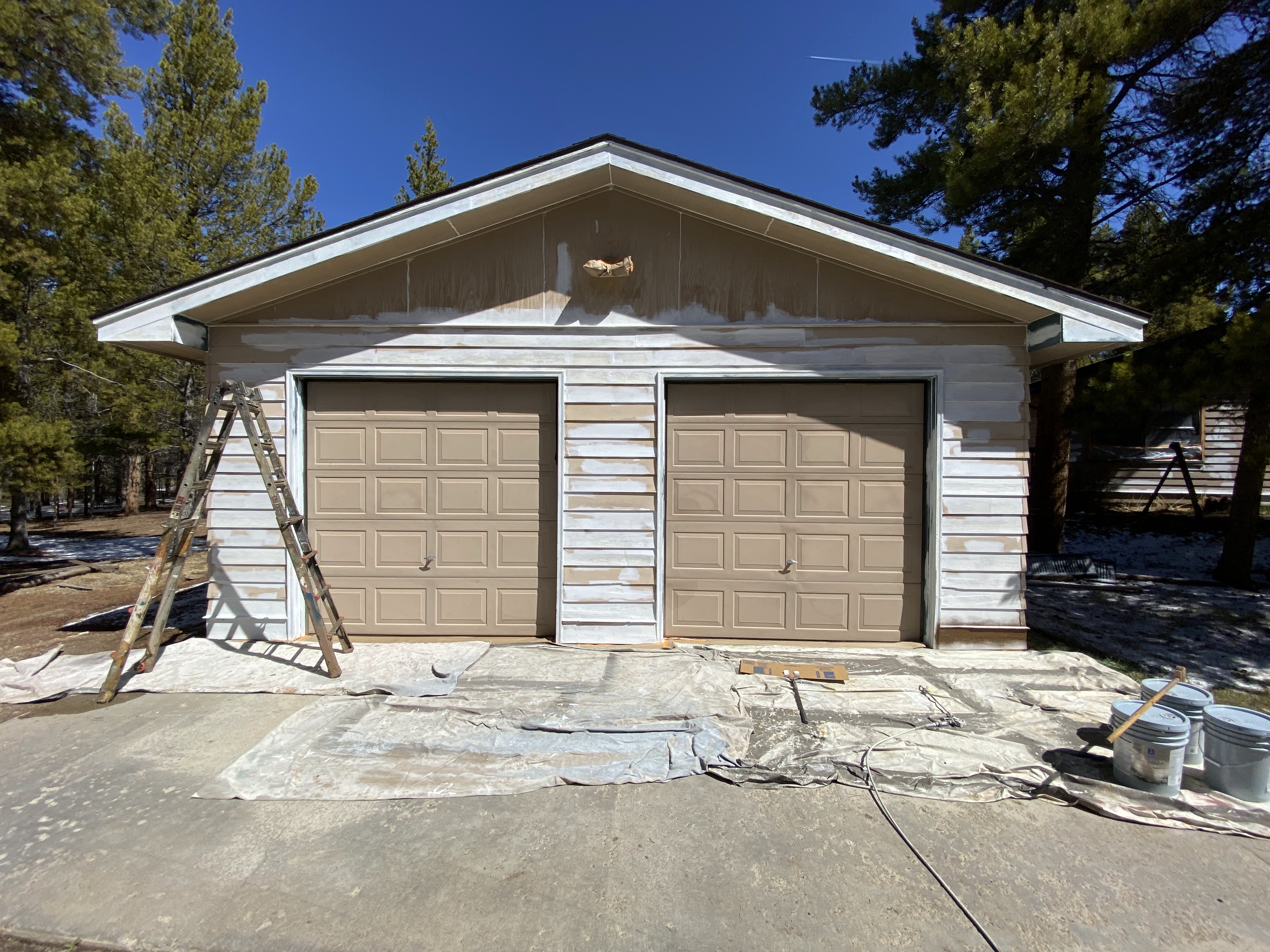 Residential Painting project by Mountain Man Painting in Colorado