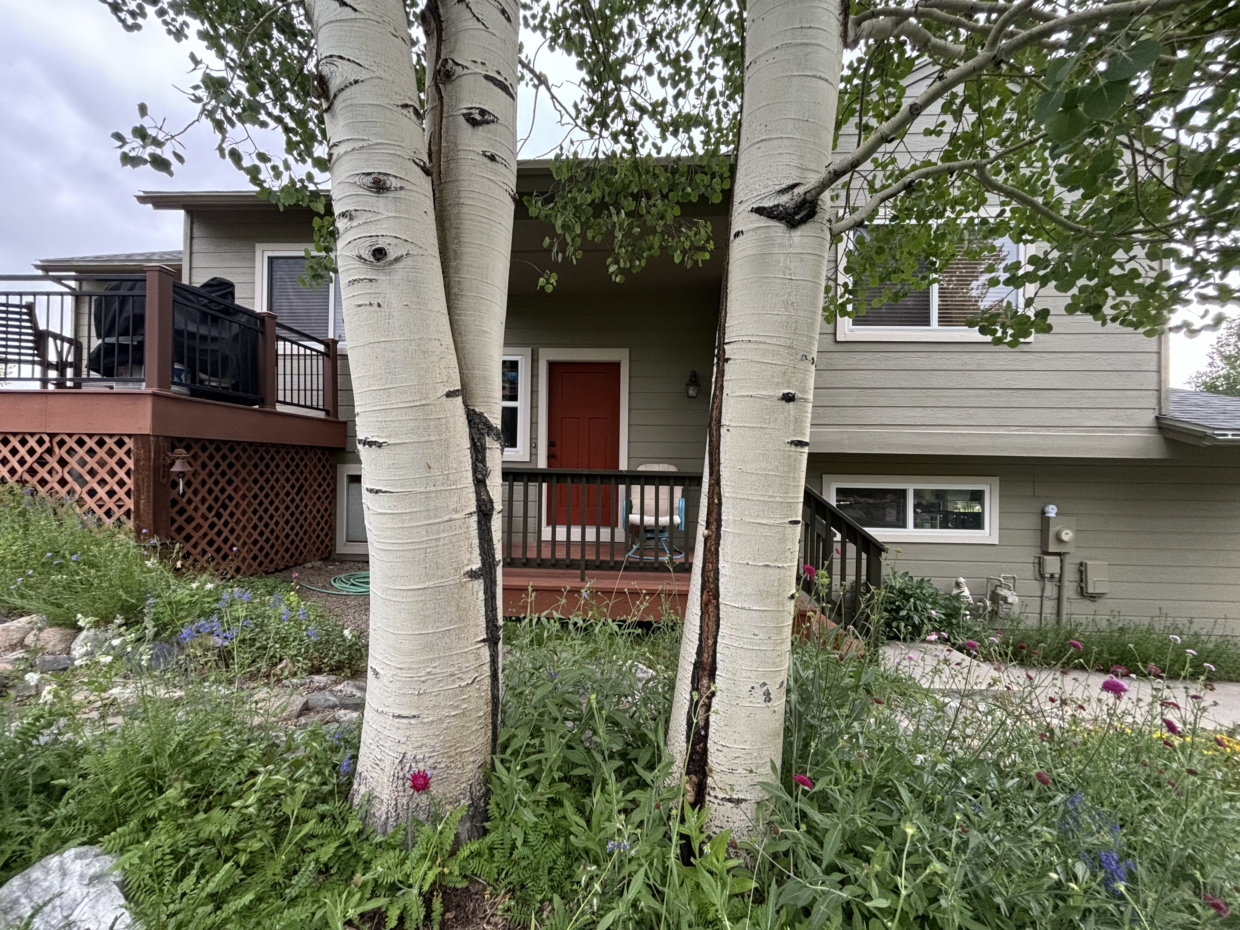 Residential Painting project by Mountain Man Painting in Colorado
