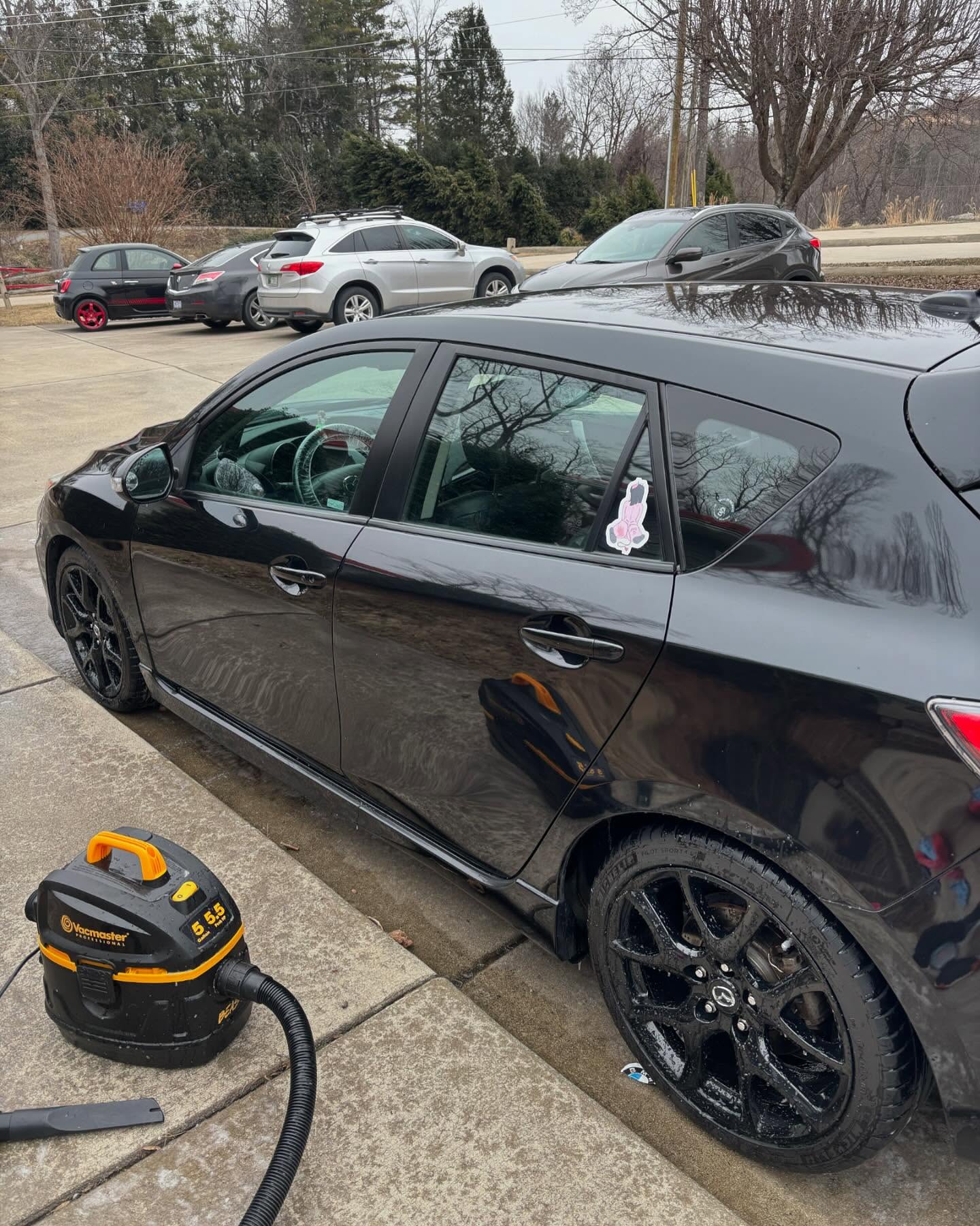 Bug, Tar & Sap Removal Greenville