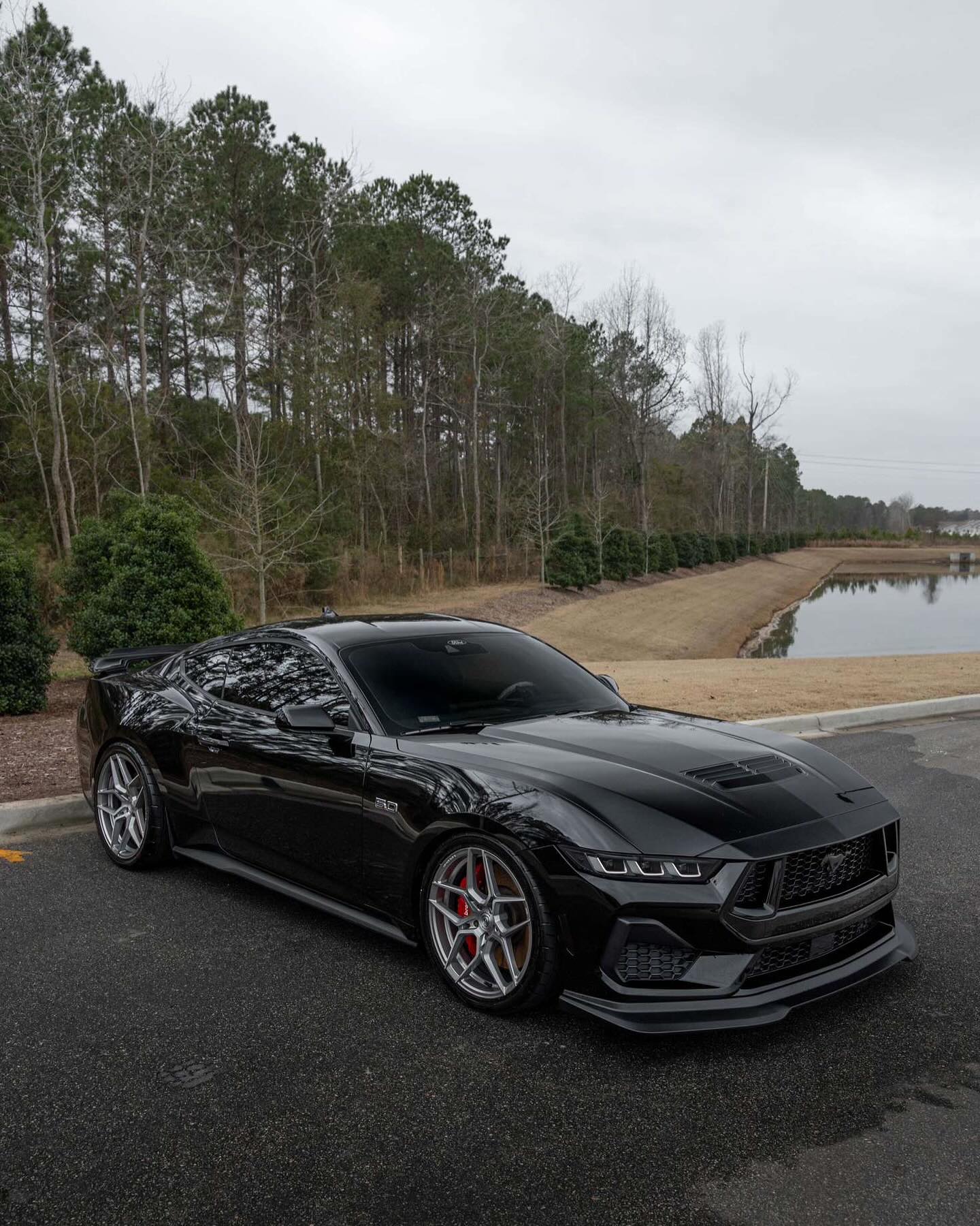 Five Forks 2024 Mustang GT: full detail