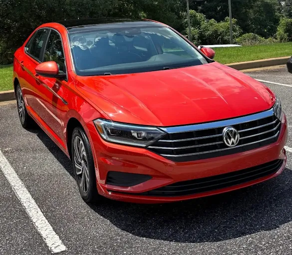 Pet Hair Removal Greenville