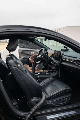 Bug, Tar, and Sap Removal Greenville