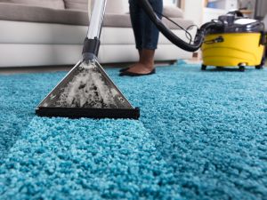 {{ custom_values.service_1 }} in {{custom_values.area_5})