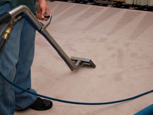 Pet treatments in Buda