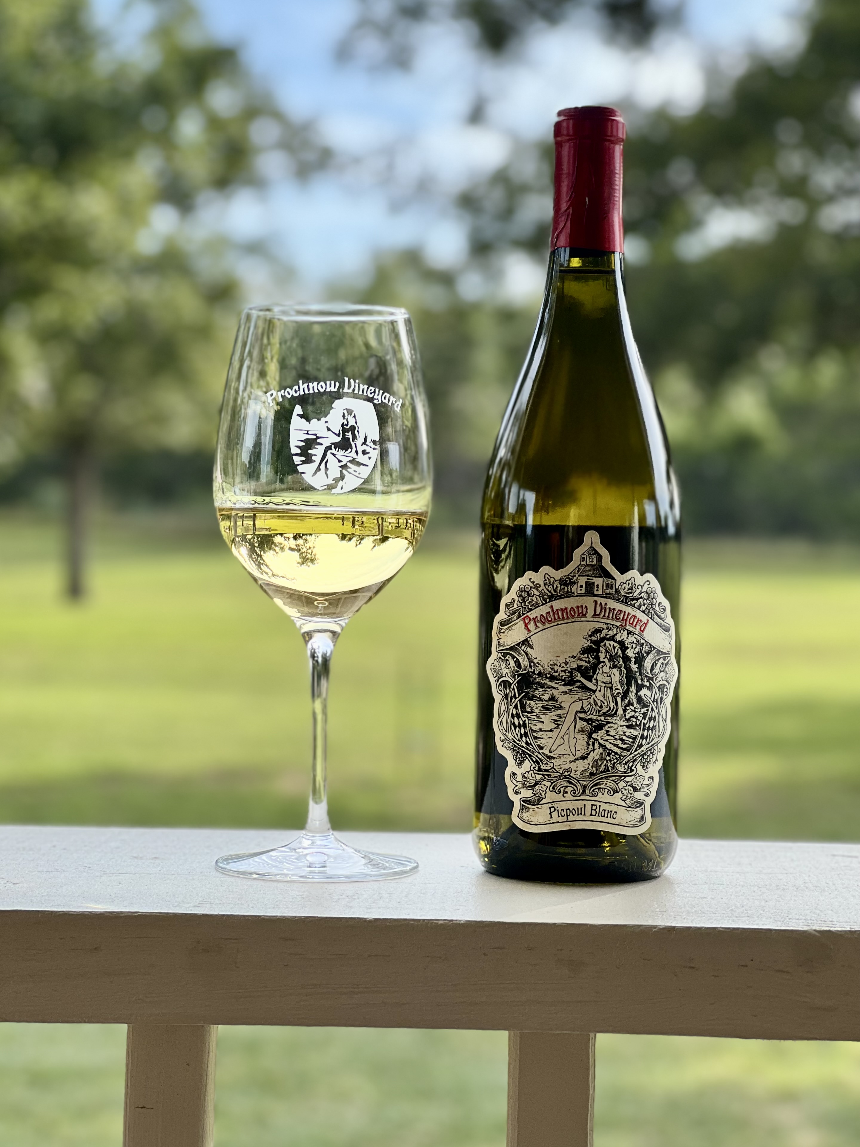 Prochnow Vineyard tasting room and hill country views