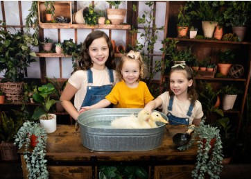 Professional bunny and duck portraits