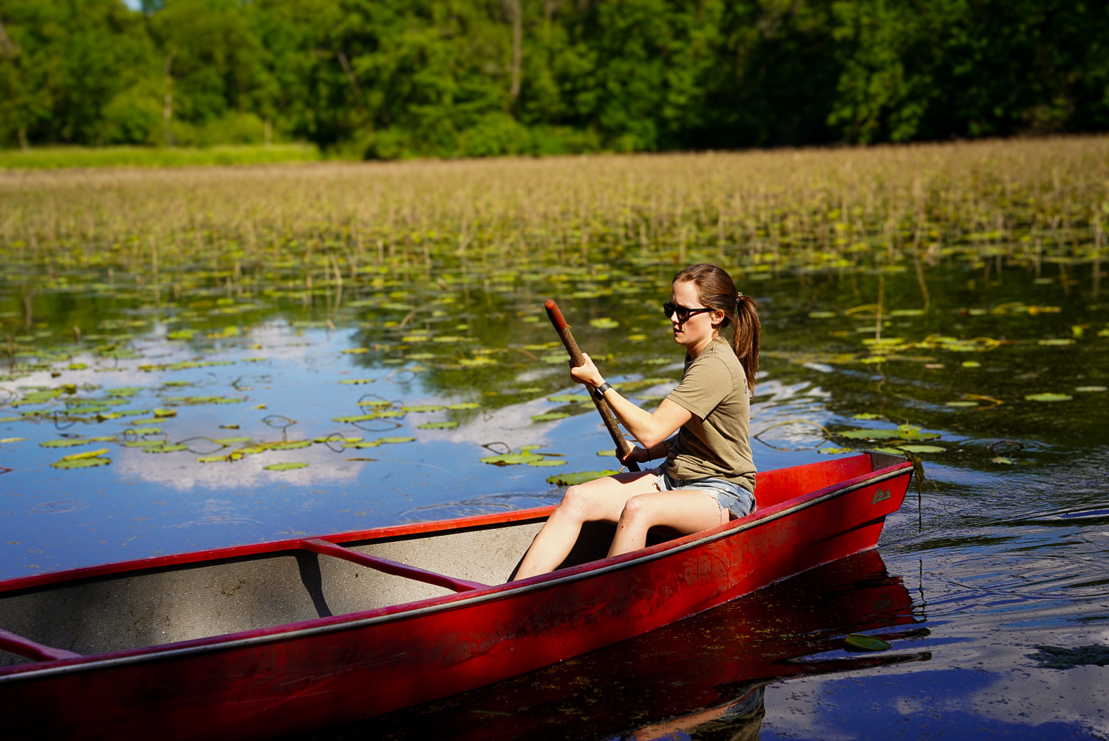 Hiking and biking trails at Big Rock Creek