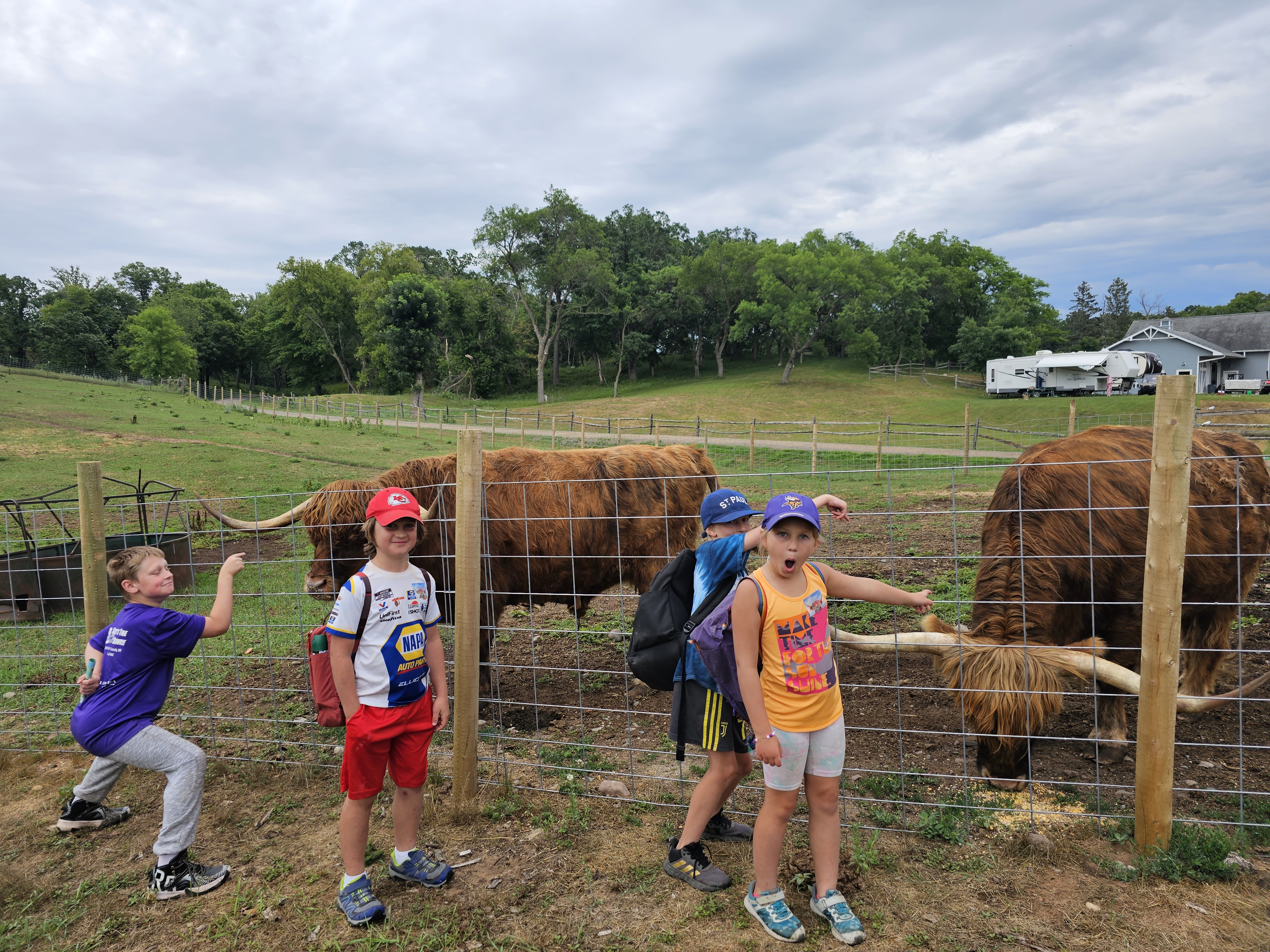Kids feeding the cows at Big Rock Creek