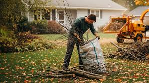 a garden filled with lots of green plants