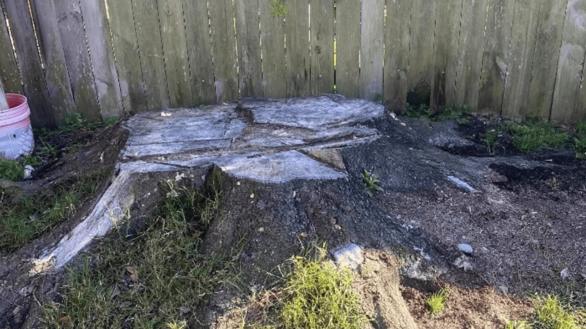 Residential Stump Grinding