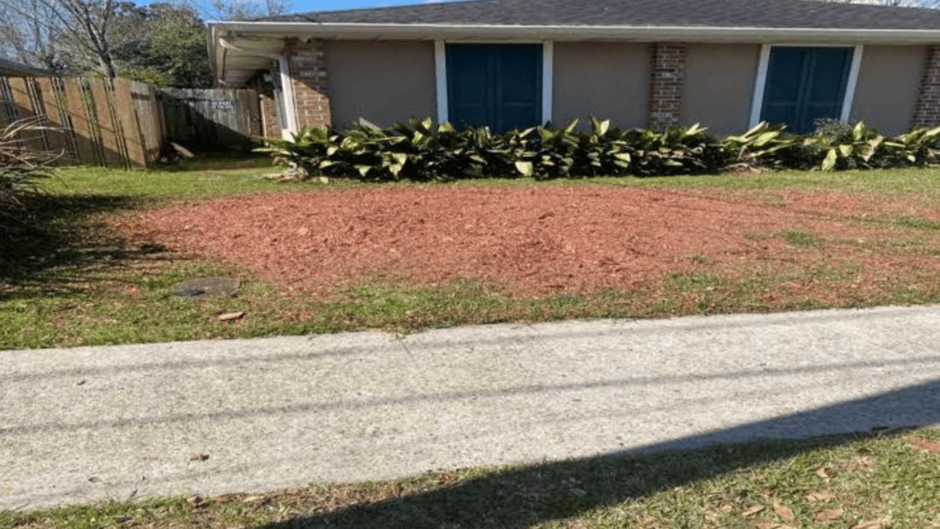 Multiple Stump Grinding (Bulk Jobs)