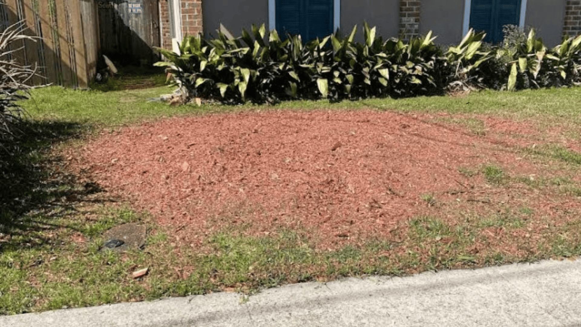 Multiple Stump Grinding (Bulk Jobs)