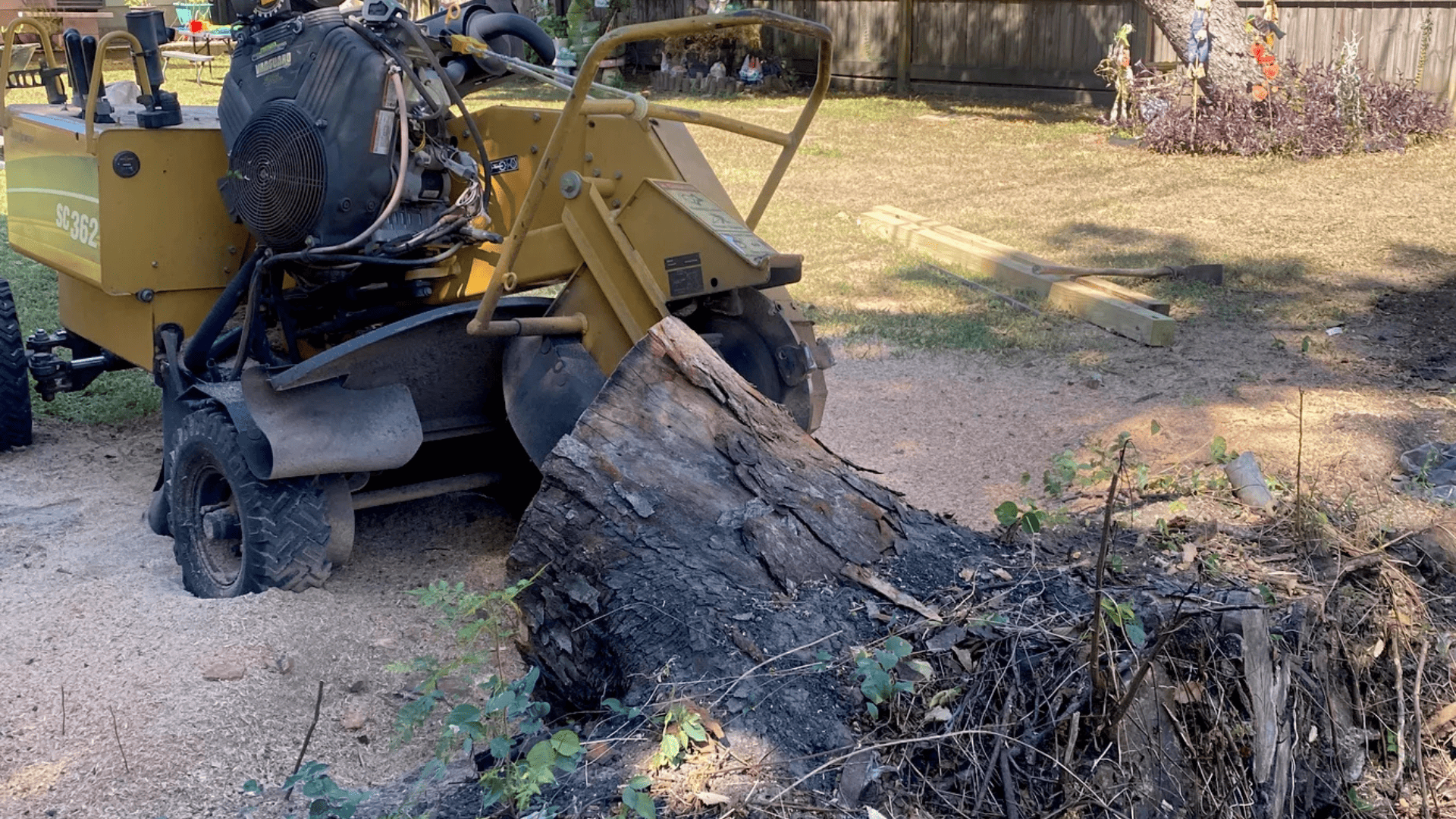 Stump Removal