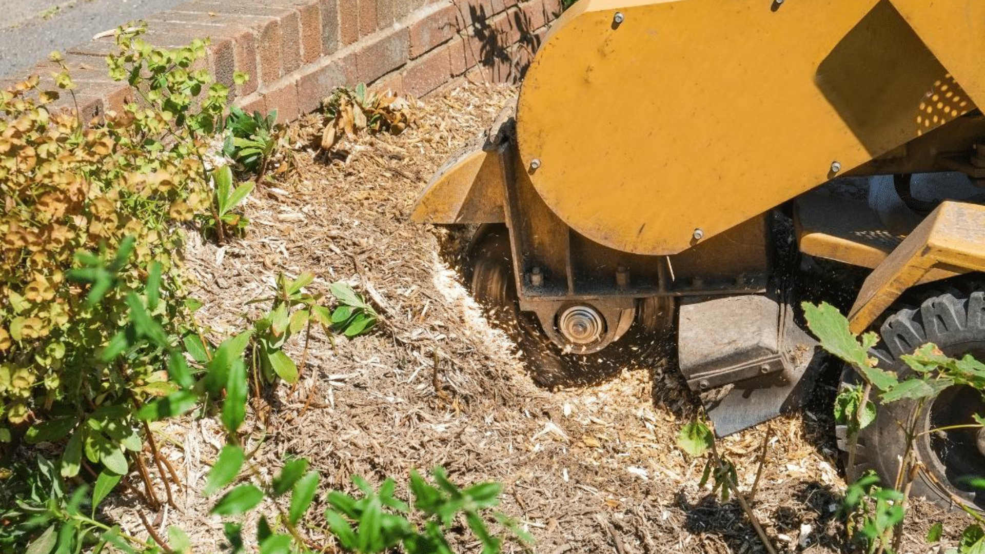 Commercial Stump Grinding