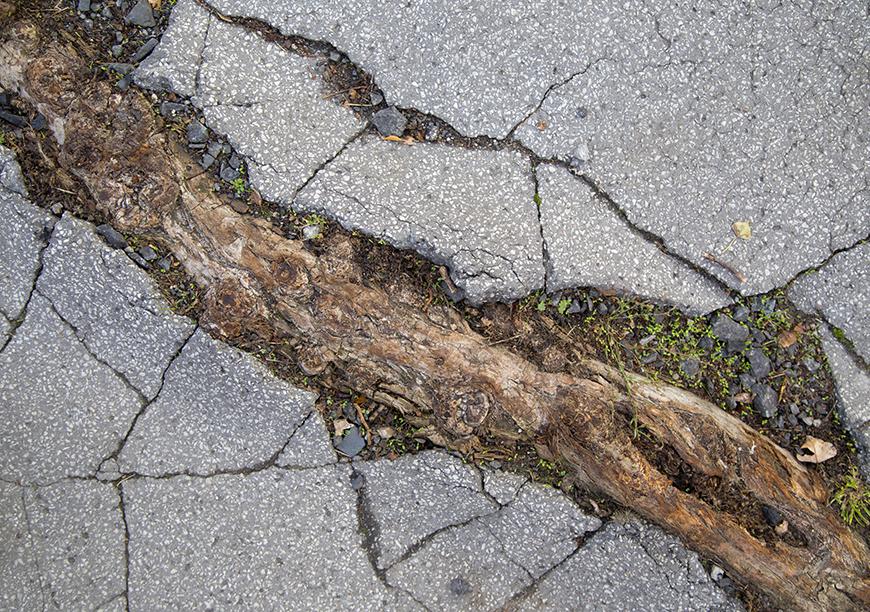 Surface Root Grinding