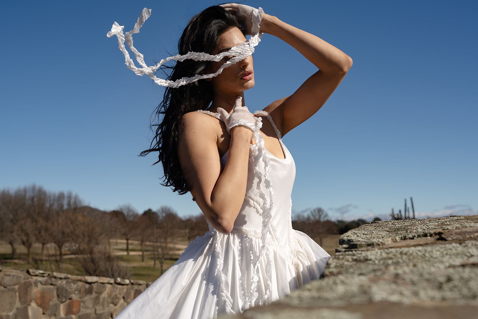 The Sable, a basque waist gown with a full skirt, under a clear blue sky