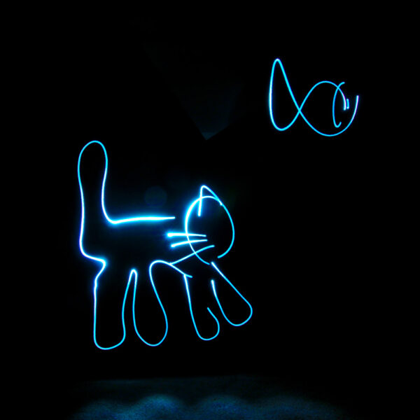 A neon cat light painting created at a My Studio Party Light Painting Party
