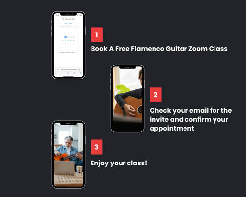 Flamenco Guitar Lessons