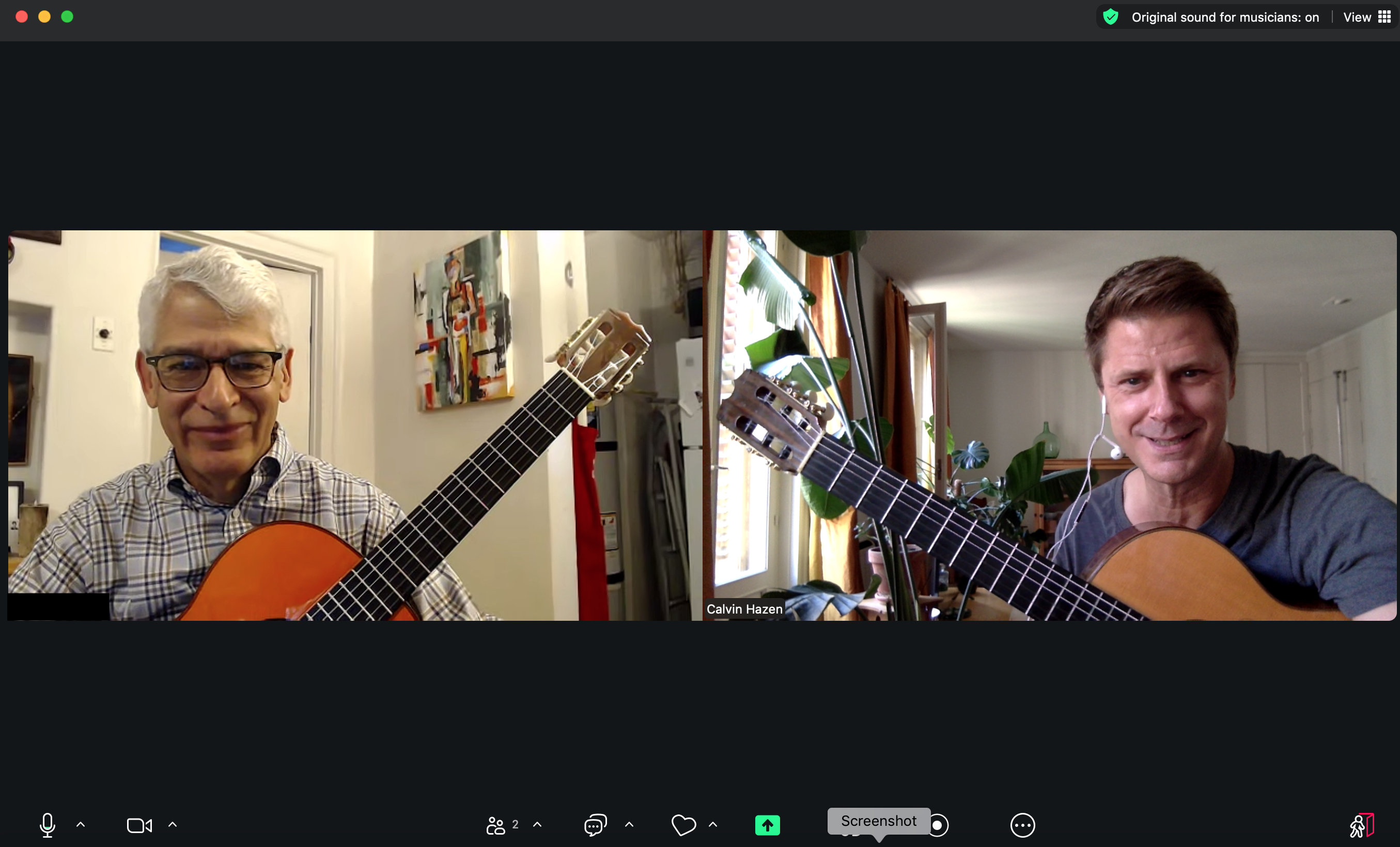 Beginner Flamenco Guitar Lessons Online