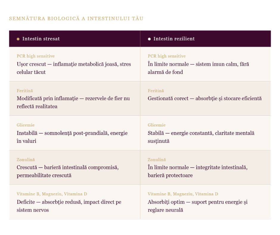 Intestin rezilient vs Intestin stresat