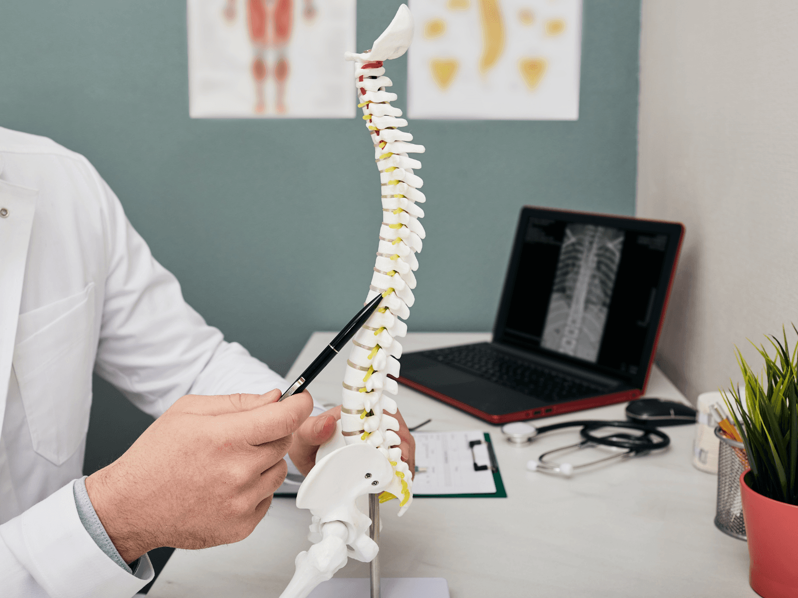 Spine surgeon local authority case study cover