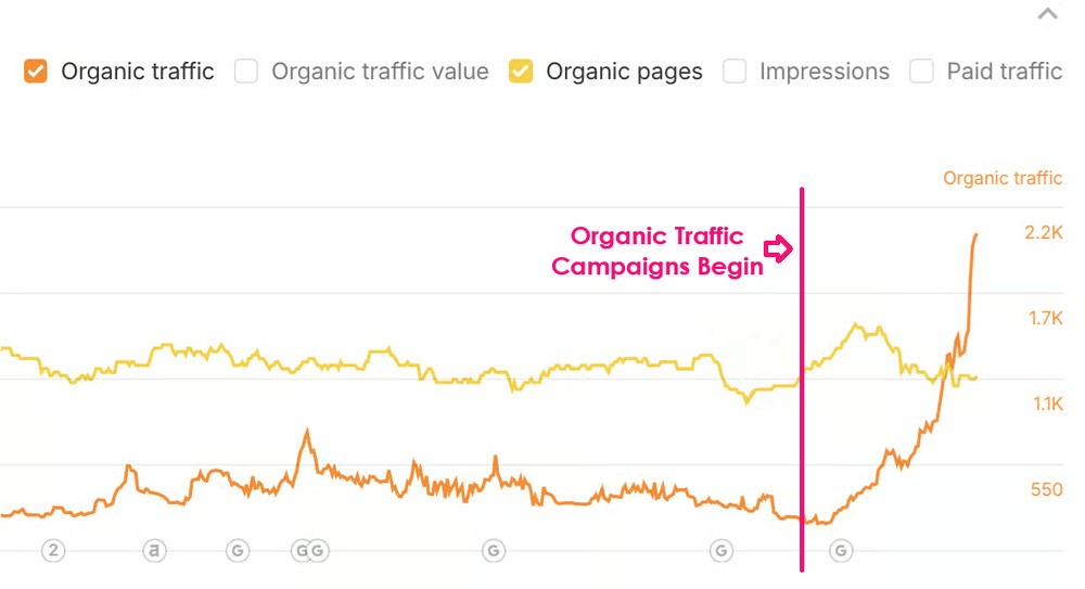 Premium Watches Organic Traffic Growth Chart