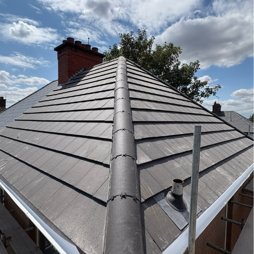 Recent roof project