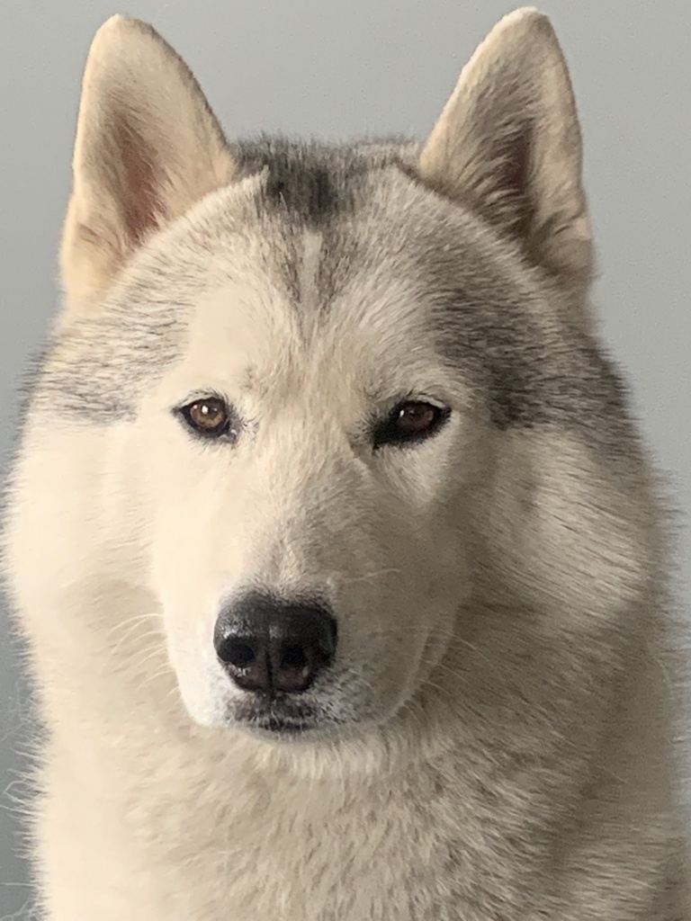 Suka