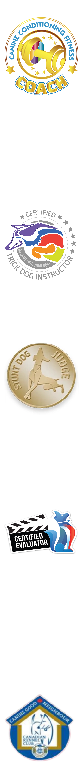 FAQ image