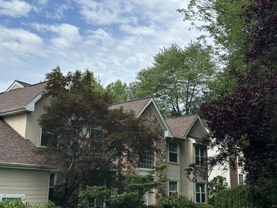 {{ custom_values.service_3 }} in {{custom_values.area_3})