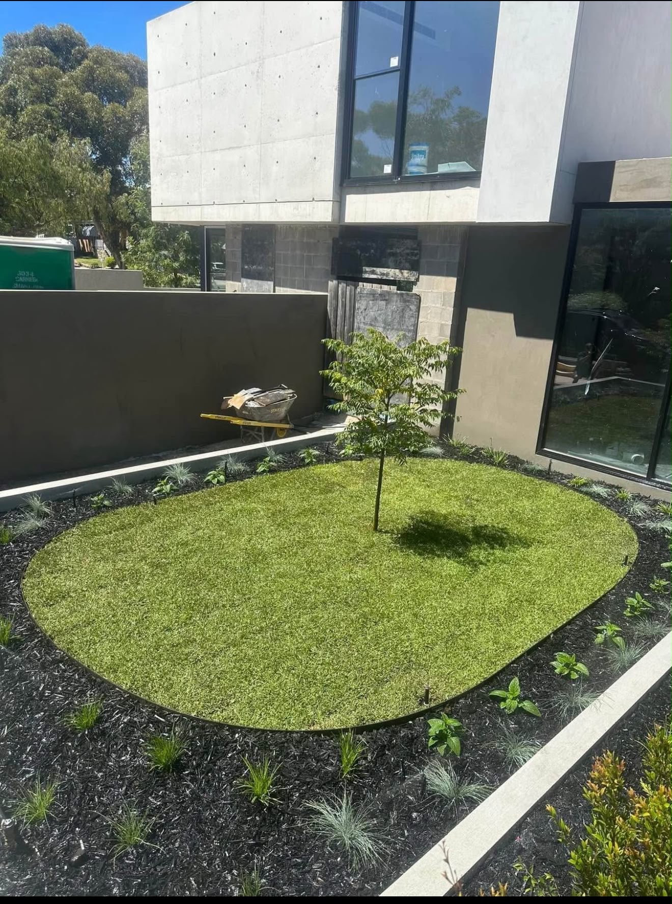 Curved lawn with a central tree and surrounding planted garden beds