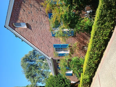 {{ custom_values.service_3 }} in {{custom_values.area_3})