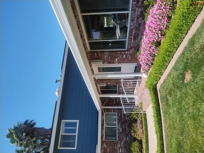 {{ custom_values.service_1 }} in {{custom_values.area_1})