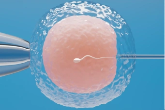 IUI, IVF and ICSI support program