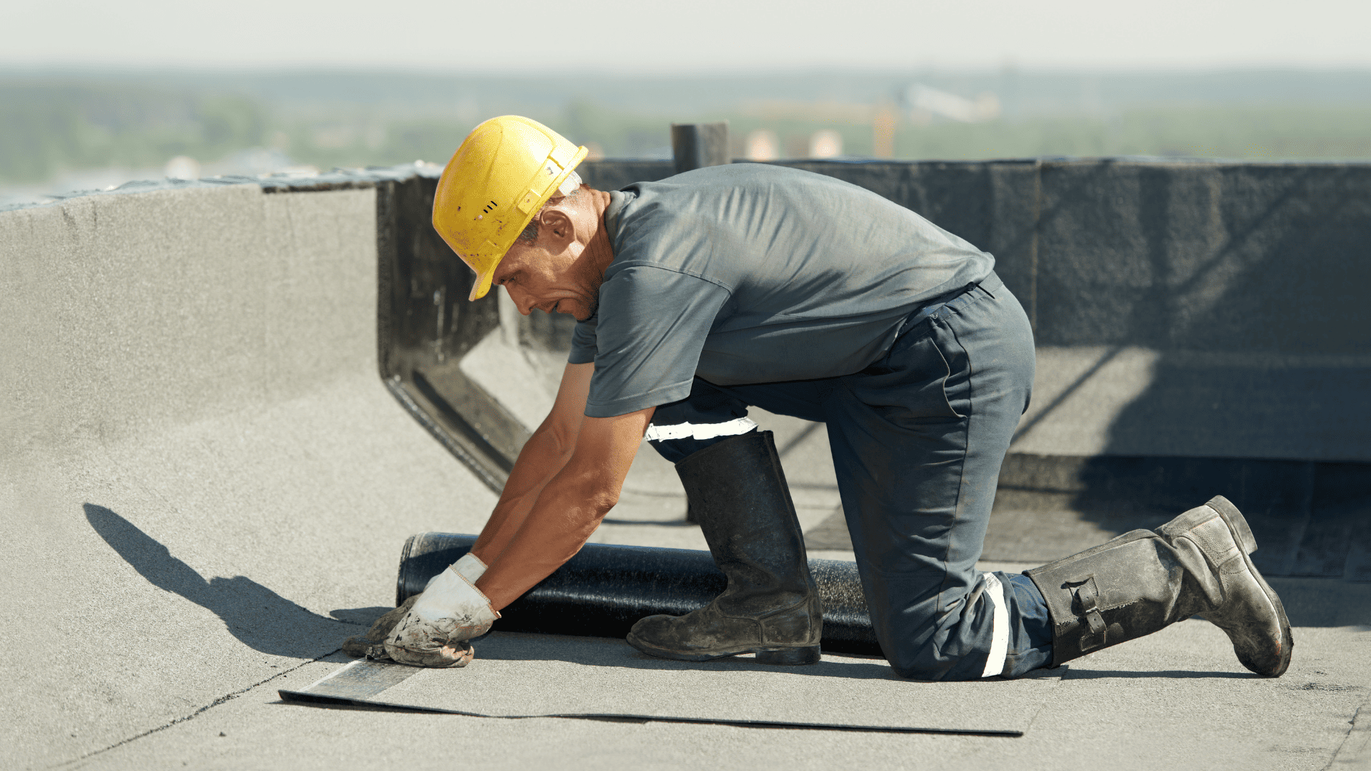 {{ custom_values.service_1 }} in {{custom_values.biz_area_1})