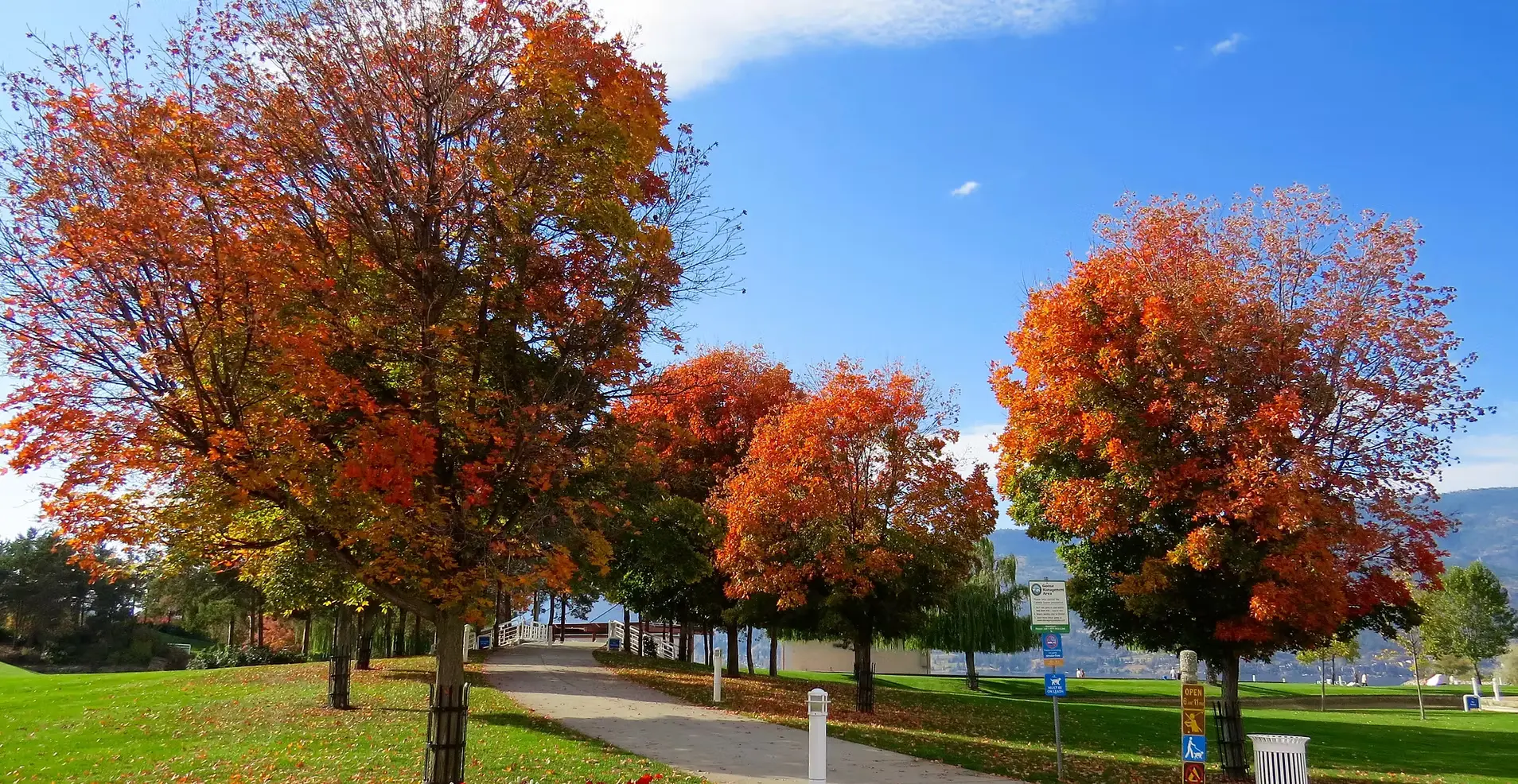 Seasonal real estate market timing in San Diego