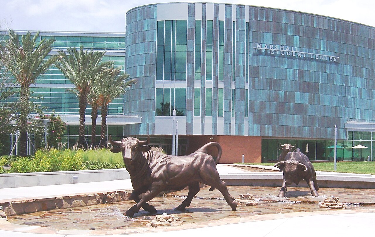 University Area neighbourhood in Tampa